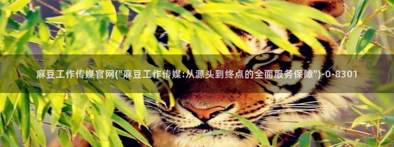 麻豆啊传媒官网黄色:麻豆工作传媒官网(\